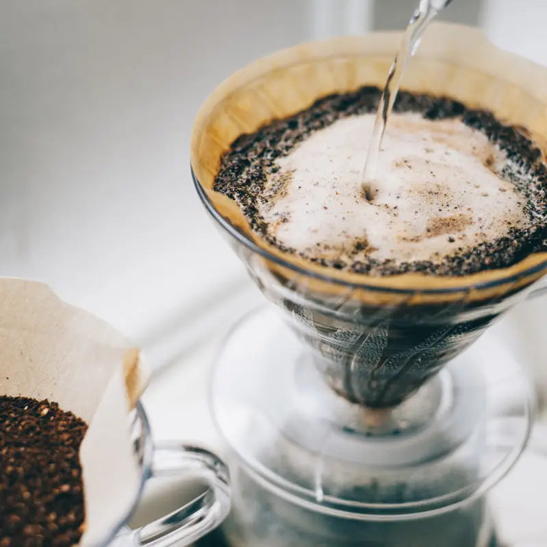 Hario V60 Plastic Dripper